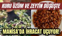 Manisa’da tarımsal ihracat 7 ayda 573,6 milyon dolara ulaştı