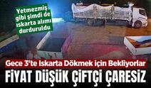 Sarıgöl'de üzüm mesaisi gece 03.00'te bile sürüyor! Üretici çaresiz...