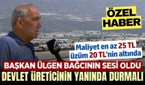 Üzüm üreticisi zor durumda! Maliyet 25 TL, fiyat 20 TL'nin altında