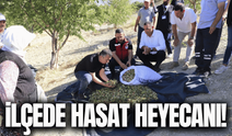 Demirci'de hasat heyecanı: Kaymakam Bayram üreticilerle buluştu!