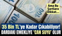Emeklilere 35 Bin TL'ye Kadar Gelir Sağlıyor! Bu Şartlara Dikkat
