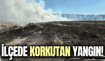 Manisa'nın ilçesinde mera yangını söndürüldü!