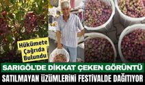 Sarıgöllü üretici satamadığı 1 ton üzümünü festivalde dağıtıyor