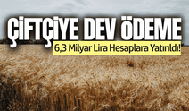 TMO'dan çiftçiye 6,3 milyar liralık dev ödeme!