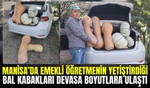 Manisa'da emekli öğretmenin ilk denemesinde yüz güldüren hasat