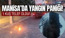 Manisa'da yangın paniği!