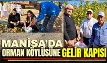 Manisa'da orman köylüsünün yüzü gülüyor!