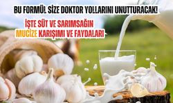 Bu formül size Doktor yollarını unutturacak! İşte Süt ve Sarımsağın mucize karışımı ve faydaları