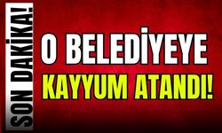 Hakkari Belediye Başkanı Akış gözaltına alındı!