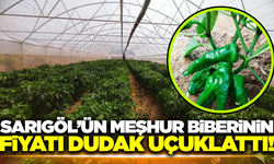 150 Yıllık Ata Tohumu Emcelli Biberi, Tezgahta Yerini Aldı!
