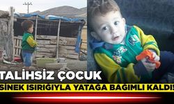 Sinek ısırığı yıllardır yatağa mahkum etti