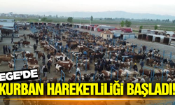 Hayvan Pazarları Kurban Bayramı öncesinde hareketlendi: Fiyatlar 70 bin TL'den başlıyor