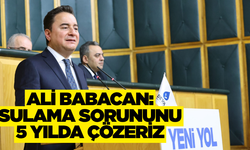 Ali Babacan tarım politikasını eleştirdi