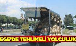 Ege'de tehlikeli yolculuk: Görenler korktu