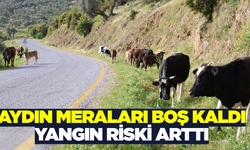 Hayvancılığın Merkezi Aydın’da Meralar Boş Kaldı, Yangın Riski Arttı