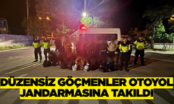 Aydın'da düzensiz göçmenler yakalandı!