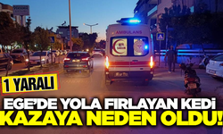 Aydın'da motosiklet kazası: 1 yaralı