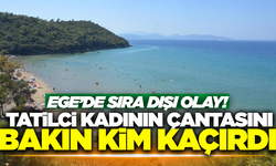 Aydın'da ilginç olay: Tatilci kadının çantasını bakın kim kaçırdı