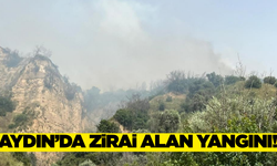 Aydın'da zirai ve otluk alanda yangın!
