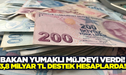 Bakan Yumaklı duyurdu: Destek ödemesi hesaplarda!