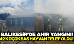 Balıkesir'de çıkan yangında 42 küçükbaş hayvan telef oldu