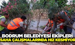 Bodrum Belediyesi, kurban bayramı hazırlıklarına devam ediyor!