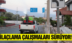 Bozdoğan Belediyesi yaz dönemi ilaçlama çalışmalarını başlattı