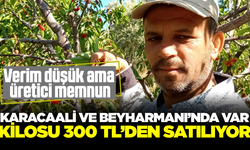 Çiftçi zirai donun yarasını fiyat ile sarıyor