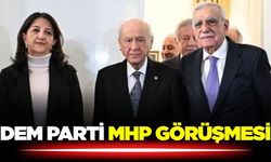 DEM Parti'den MHP görüşmesi sonrası ilk açıklama