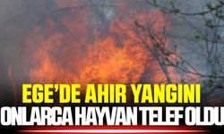 Ege'de ahır yangını: Onlarca hayvan telef oldu