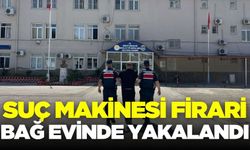Ege'de firari suç makinesi yakalandı