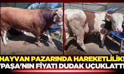 Ege'de hayvan pazarında hareketlilik