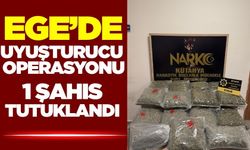 Ege'de uyuşturucu operasyonu