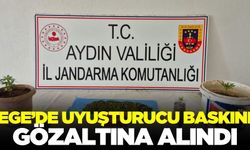 Ege'de uyuşturucu taciri yakalandı