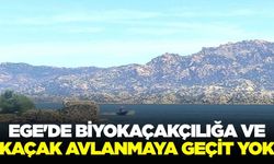 Ege'de Biyokaçakçılığa ve kaçak avlanmaya geçit yok