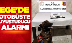 Muğla'da Uyuşturucu Operasyonu