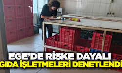 Halk sağlığı için Aydın'da gıda denetimleri devam ediyor!