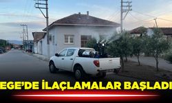 Aydın'da gece ilaçlamaları başladı