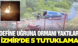 İzmir'de orman yangını: 5 kişi tutuklandı