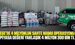 Ege'de 4 milyonluk sahte mama operasyonu