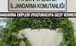 Aydın'da uyuşturucu operasyonu: 17 şüpheli yakalandı