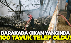 Kütahya'da barakada yangın: 100 tavuk telef oldu