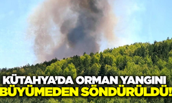 Kütahya'da orman yangını!