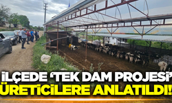 Manisa Büyükşehir Belediyesi "Tek Dam Projesi" ile üreticileri destekliyor