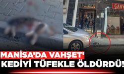 Manisa'da Vahşet !Apartmana Pislediği Gerekçesiyle Kediyi Pompalı Tüfekle Öldürdü!