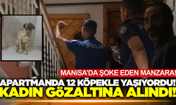Manisa'da 12 köpekle yaşadığı daireyi çöp eve çeviren kadın gözaltına alındı