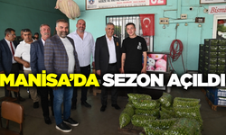 Manisa'da hal sezonu açıldı