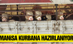Manisa'da Kurban Bayramı öncesi sıkı denetim