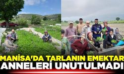 Manisa'da tarlanın emektar anneleri unutulmadı