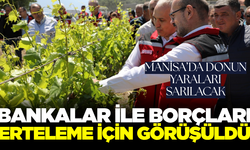 Manisa'da zirai dondan etkilenen çiftçileri mutlu edecek gelişme!